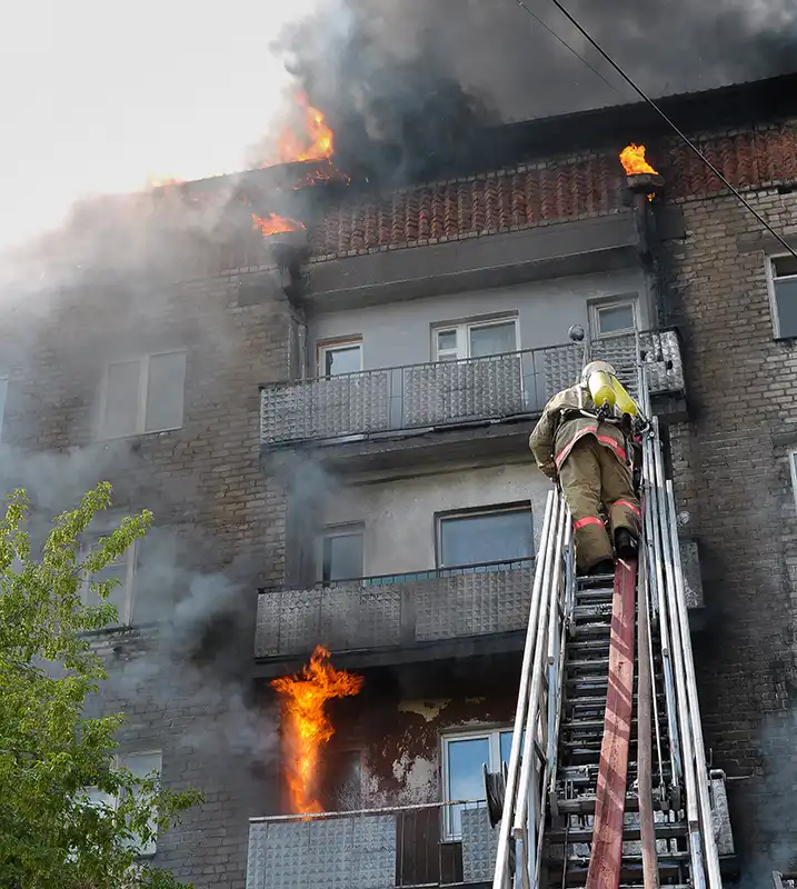 condena por incendio y maltrato animal